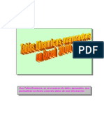 Tablas Dinamicas Avanzadas Con Excel 2000