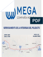 MEGA MFL Igs PDF