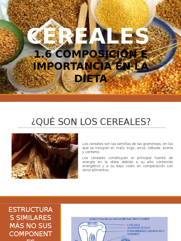 Cereales 1.6 Composición E Importancia En La Dieta Cereales Comida y bebida