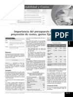 Presupuesto Flexible PDF