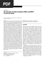 The Expression of Lactate Transporters (MCT1 and MCT4) in Heart and Muscle