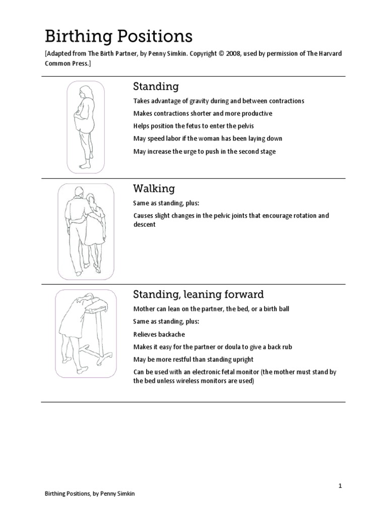 Birthing Positions | PDF | Pelvis | Childbirth