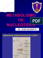 Metabolismo de Nucleotidos-2013