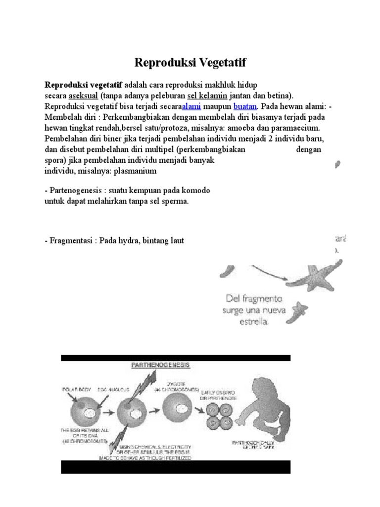 Reproduksi Vegetatif