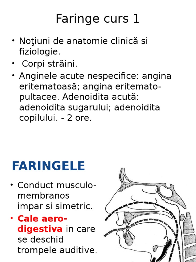 Faringe | PDF