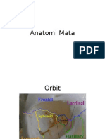 Anatomi Mata 