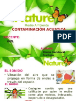 CONTAMINACION ACUSTICA