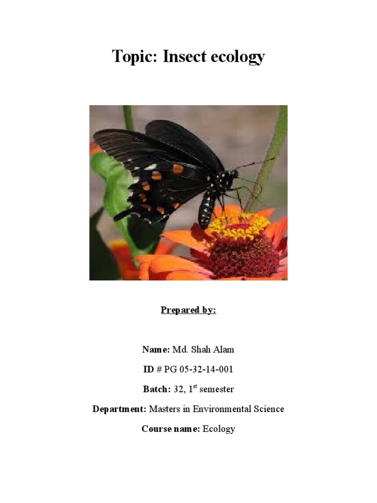 Insect Ecology Assignment | PDF | Food Web | Greenhouse Effect