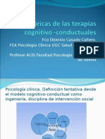 Bases Teóricas de Las Terapias Cognitivo - Conductuales. Primer Día, Primera Sesión