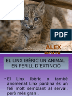 Linx Ibèric 