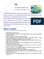 Microdelicia.pdf