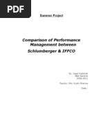 Download Performance Management Summer Project by saad124 SN25704764 doc pdf