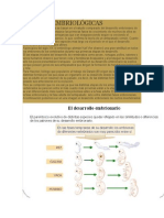 Pruebas Embriológicas