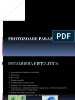 Protozoare Parazite