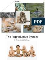 ch 19 the reproductive system (edit)