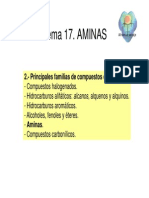 Tema.Aminas