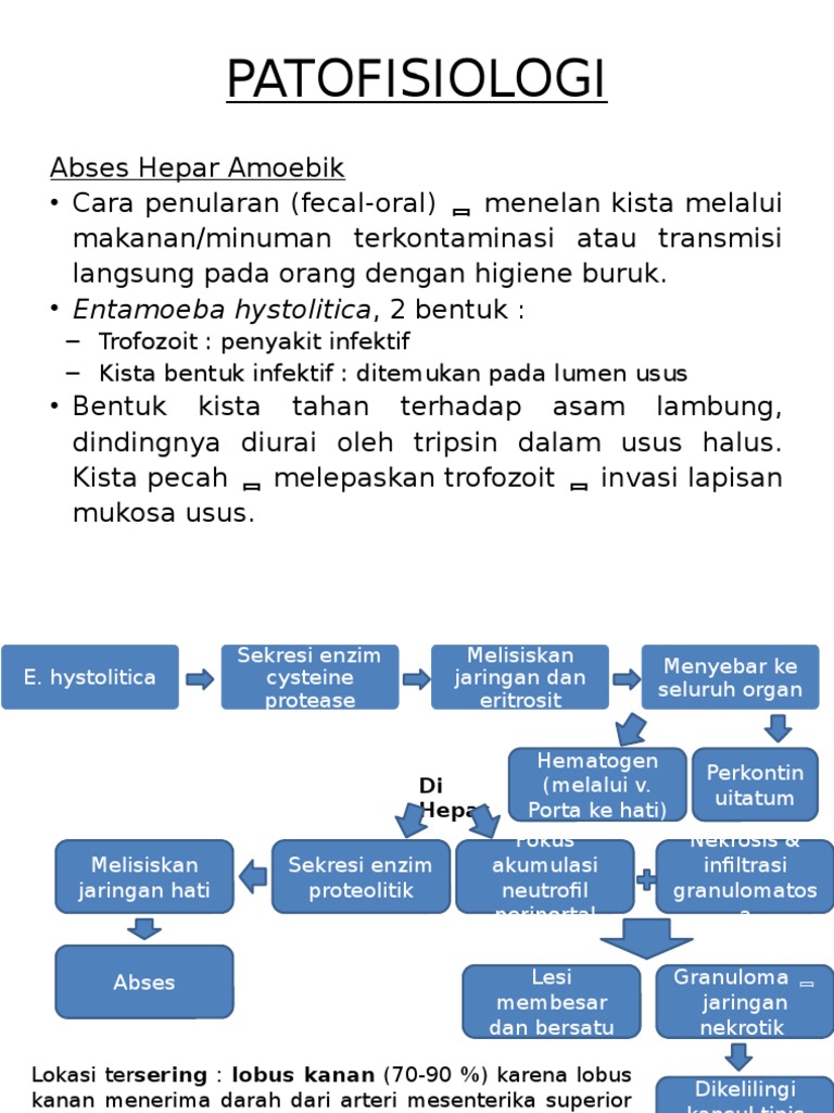 Patofisiologi Adalah Pengertian Definisi Perbedaan Dengan Pathogenesis