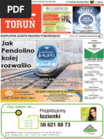 Download Poza Toru nr 64 by Poza Toru SN257063108 doc pdf