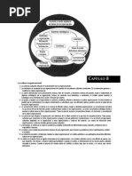 sociologia de las organizaciones