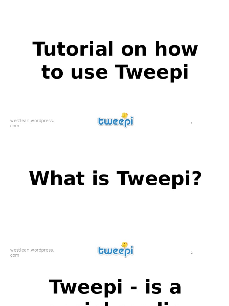 How To Use Tweepi PDF Word Press Twitter