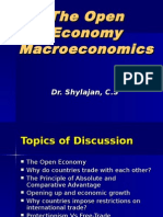 The Open Economy-X.ppt