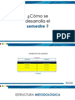 Como Se Desarrolla El Semestre PDF