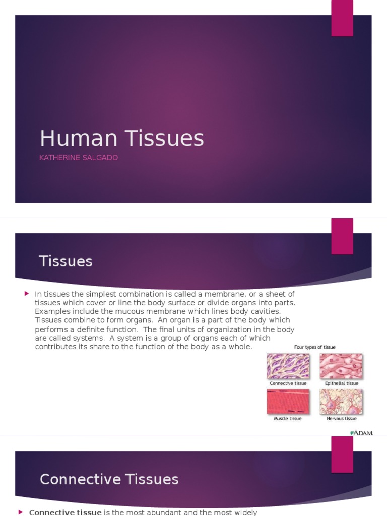 Human Tissues | PDF | Self-Improvement | Wellness