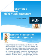 Digestion y Absorcion Tubo Digestivo