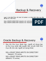 Oracle Backup - Recovery Sua