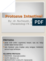 Protozoa Intestinal