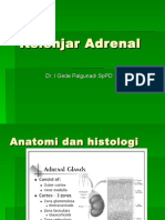 Kelenjar Adrenal