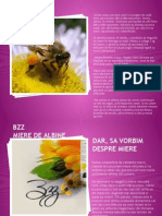 bzz_presentation.pptx