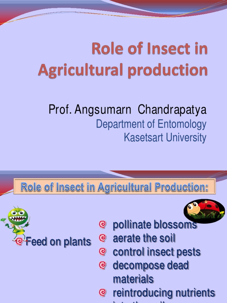 Role of Insects in Agriculture | PDF | Insects | Beetle