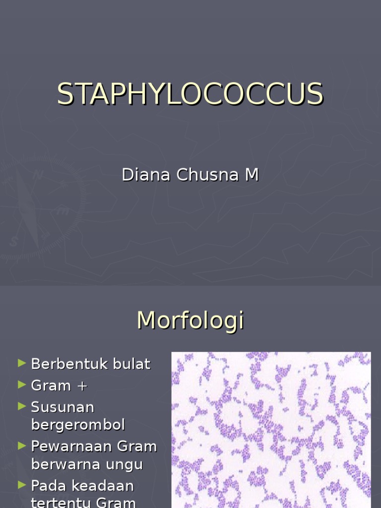 Staphylococcus Ppt