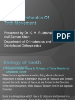 Biology of Tooth Movement Phases and Forces