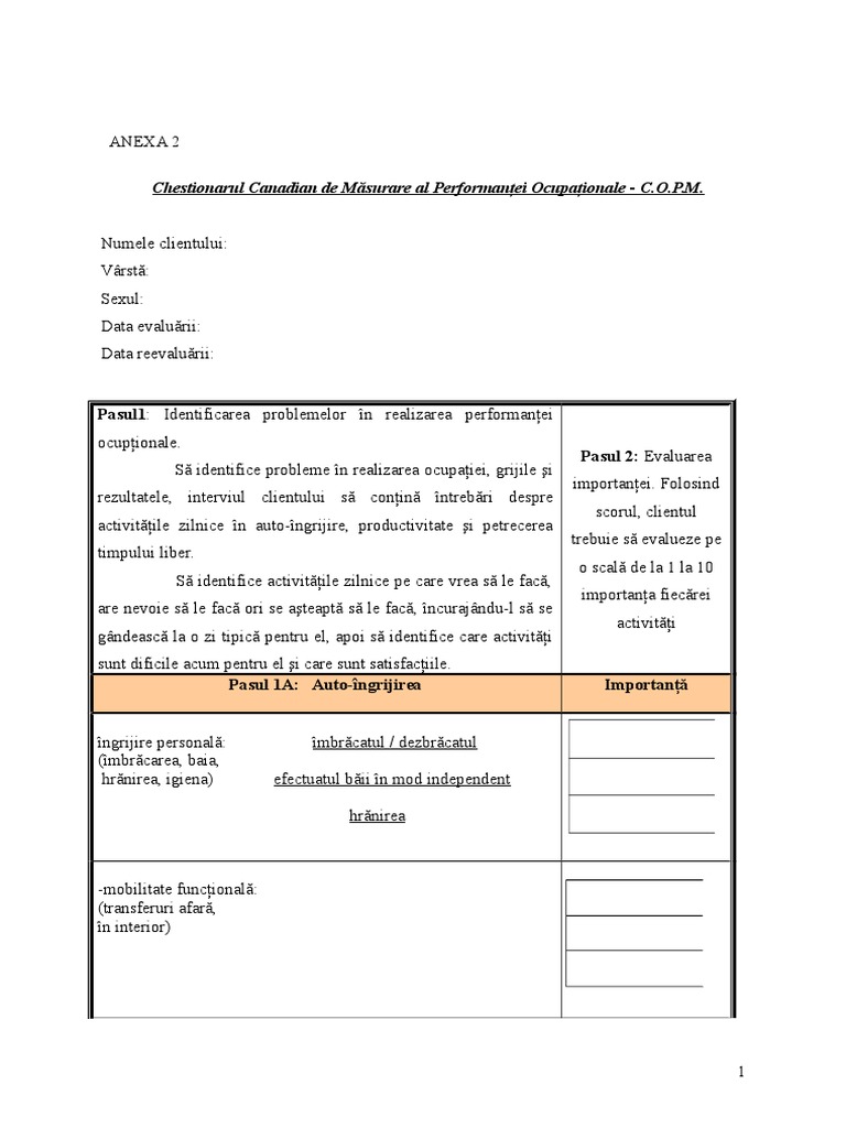 COPM - Model | PDF
