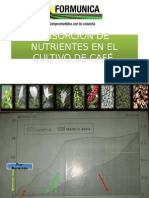 Absorción de Nutrientes en El Cultivo de Café