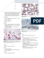 Markers for Hematopoietic and Lymphoid Cell Differentiation