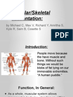 Muscular-Skeletal Model Presentation