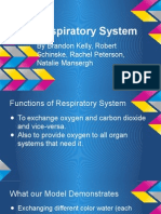 presentation for respiratory system