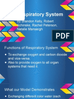 Presentation For Respiratory System