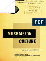 Muskmelon Culture 
