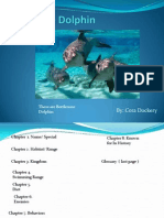 Bottlenose Dolphin-Cora Dockery