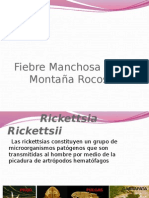 Fiebre de La Montana Rocosa