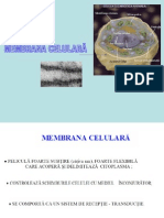 Membrana Celulara