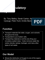 Circulatory System Assignment