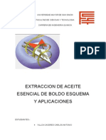 Aceite Esencial de Boldo - Extracciones