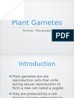 Plant Gametes: Briones, Macapagal