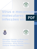 Vírus e Mecanismos Moleculares Das Infecções Virais