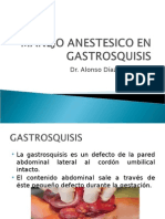 Gastro Squ is Is